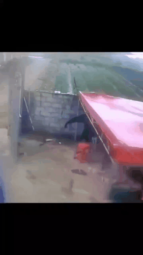 GIF 231217 170158.gif