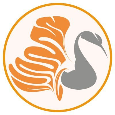 u n8SLNu 400x400.jpg