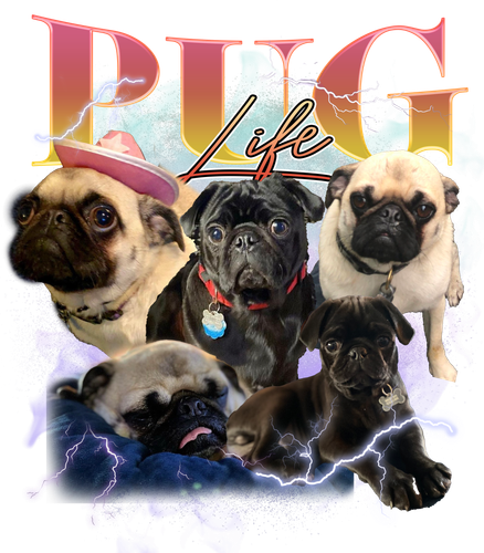 KN041220231820 PUG LIFE.png