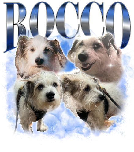 KN041220231840 Rocco.png