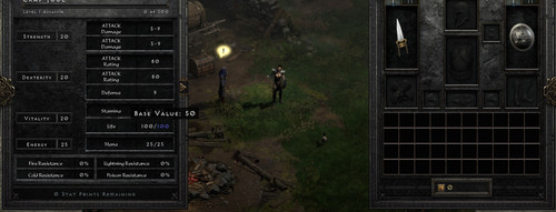 Double life.jpg