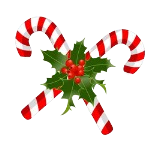 image removebg preview(26).png