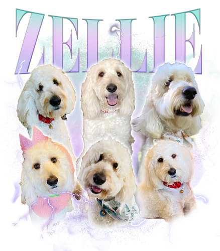 KN041220231820 Zellie.png