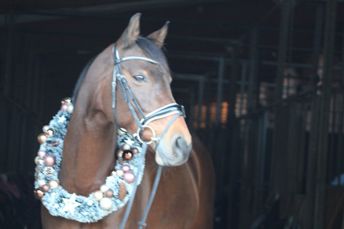IMG 4292.jpg
