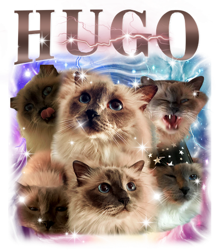 hugo.png
