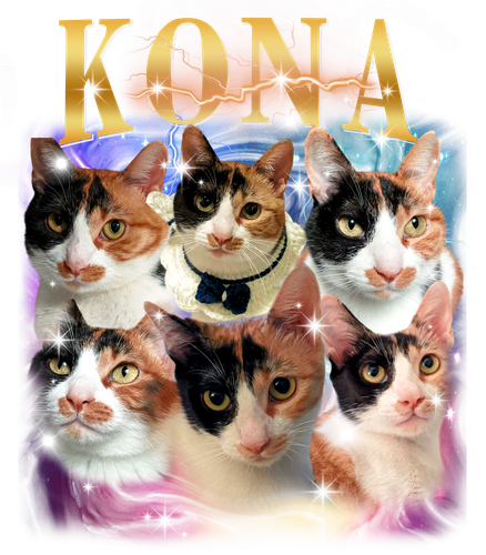 kona.png