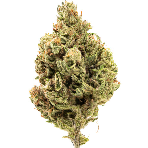 Hallie Selassie Kush Inspiration.jpg