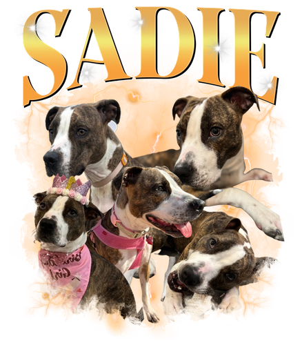 Sadie 2.png