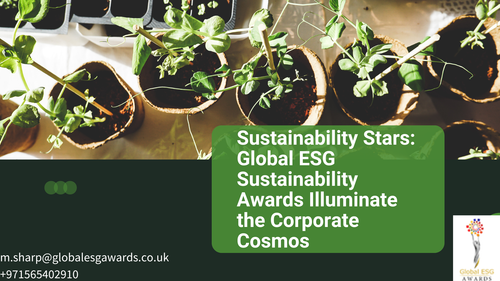 Sustainability Award.png