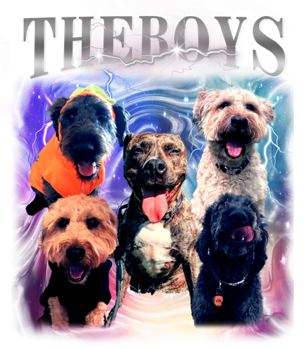 the boys.png