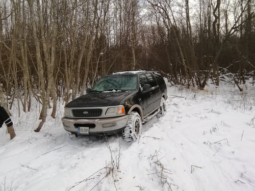 28616457 1398518926961294 4630880410843189568 o.jpg