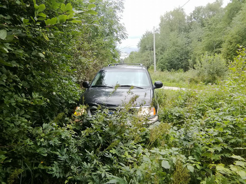 37488424 1559831730830012 3647008953264504832 n.jpg