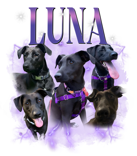 luna.png
