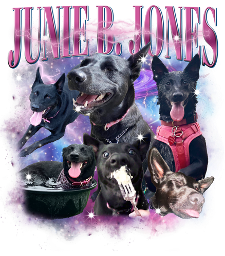 3133216265.png
