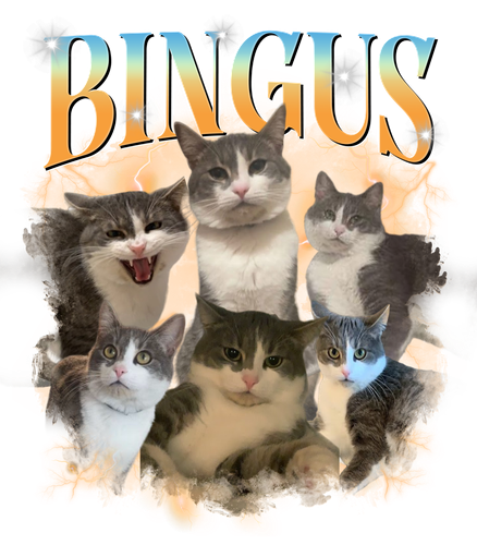 Bingus.png