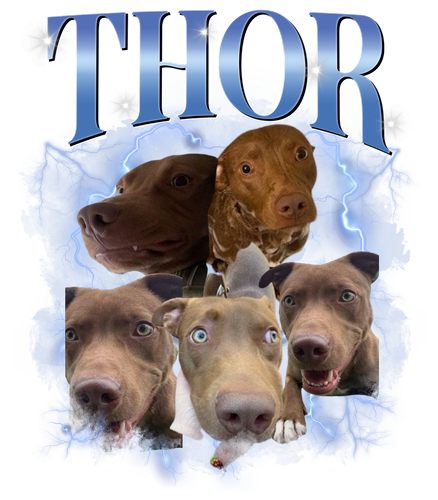 Thor.png