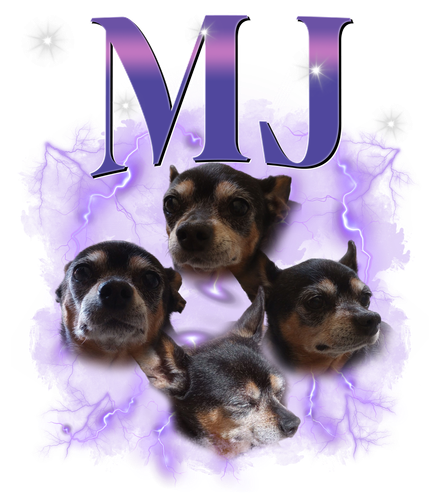 3121283743.png