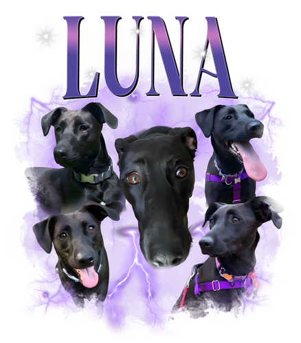 luna.png