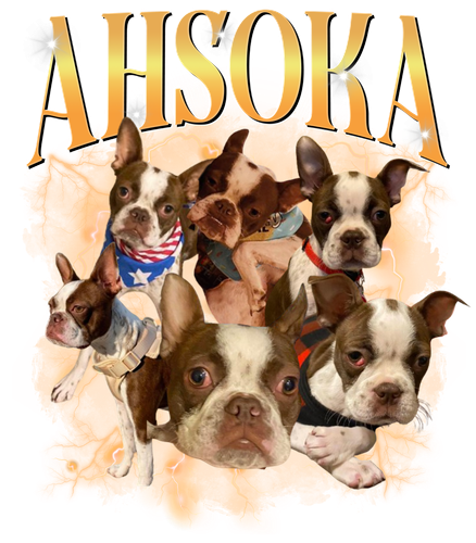 Ahsoka.png
