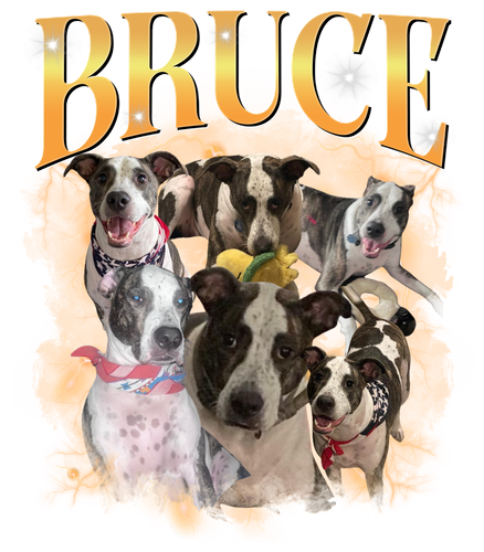 Bruce.png