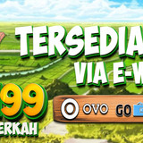 HOME DEPO EWALLET min