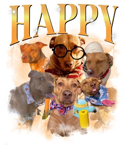 HAPPY.png
