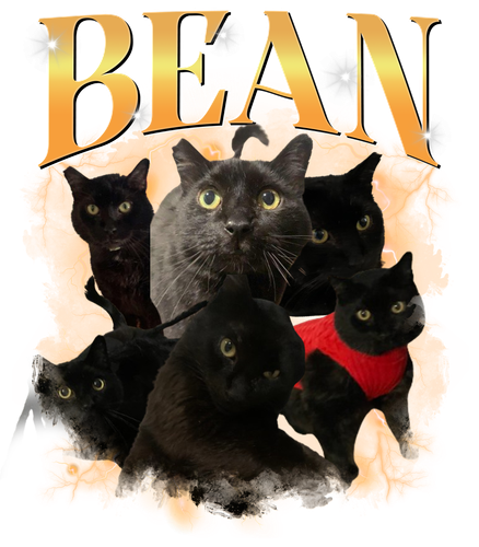 Bean.png