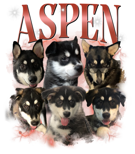 Aspen 3138173838.png