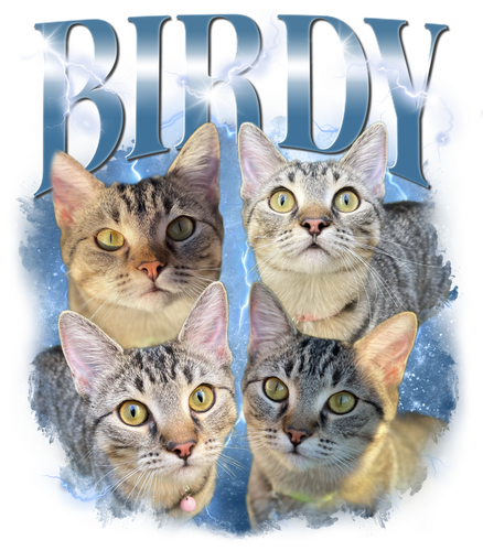 Birdy 3138206592.png