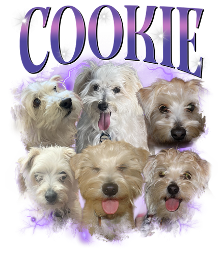 Cookie 3129809589.png