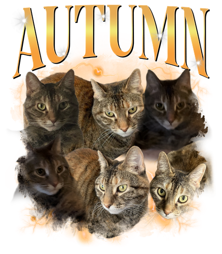 Autumn 3129795395.png