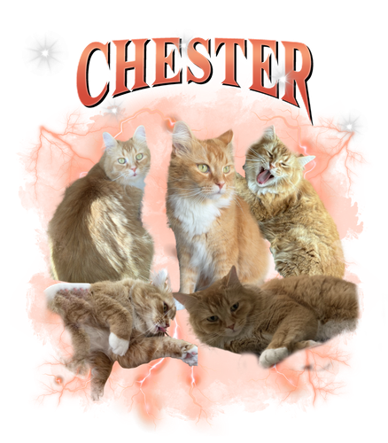 CHESTER 5.png