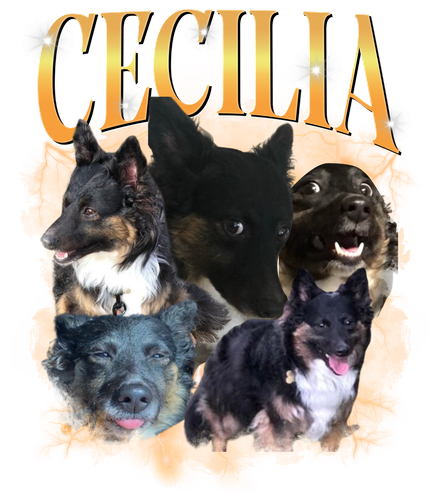 Cecilia.png