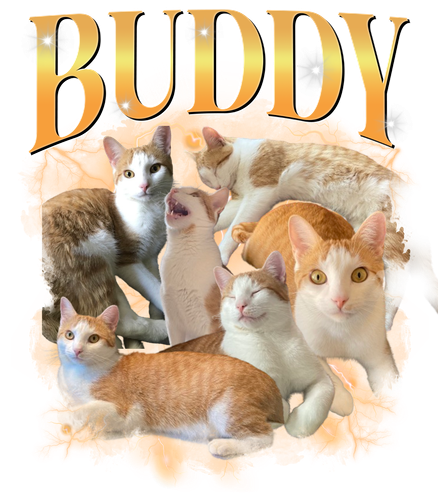 Buddy.png