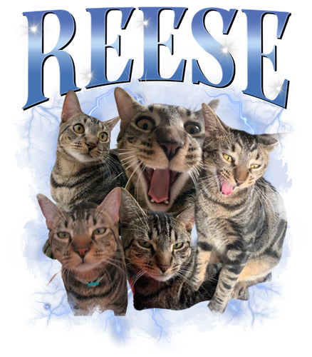 Reese.png