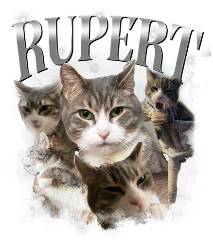 RUPERT.png