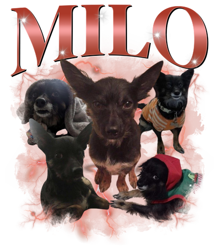 Milo.png