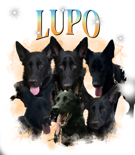 lupo.png