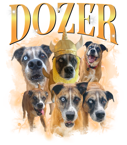 DOZER.png