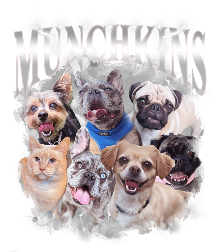 Munchkins.png