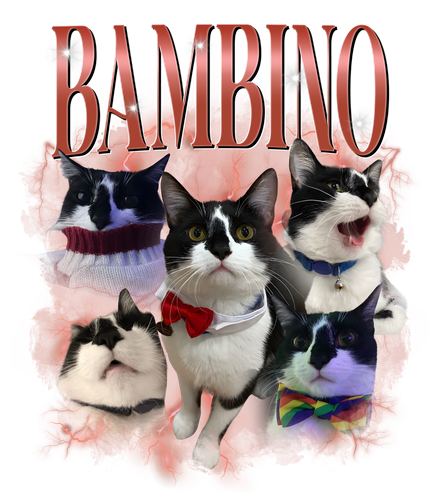 bambino.png