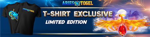 aries 800x200 fix 09.png