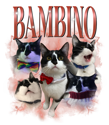 bambino.png