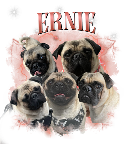 ERNIE.png