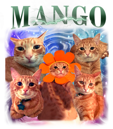 mango.png