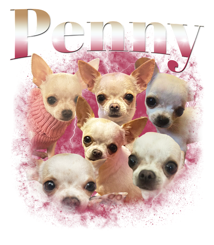 Penny.png