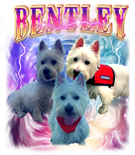 bentley.png