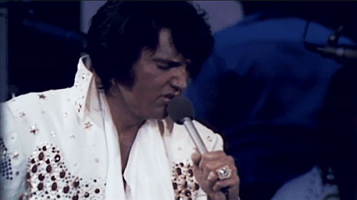 IMG 0356.gif