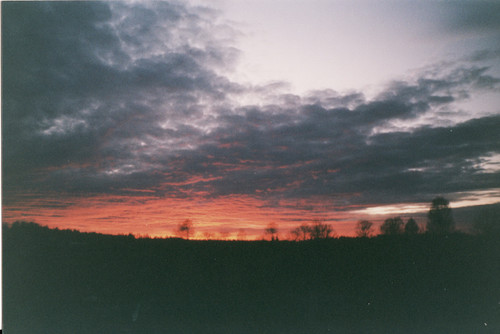 IMG (128).jpg