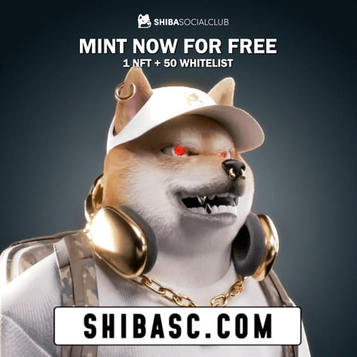 Shiba Social Club 4.jpg
